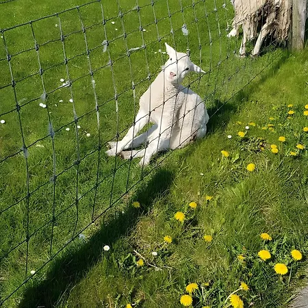 Warnken アパート *