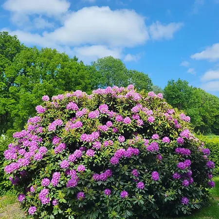 Warnken アパート Zetel