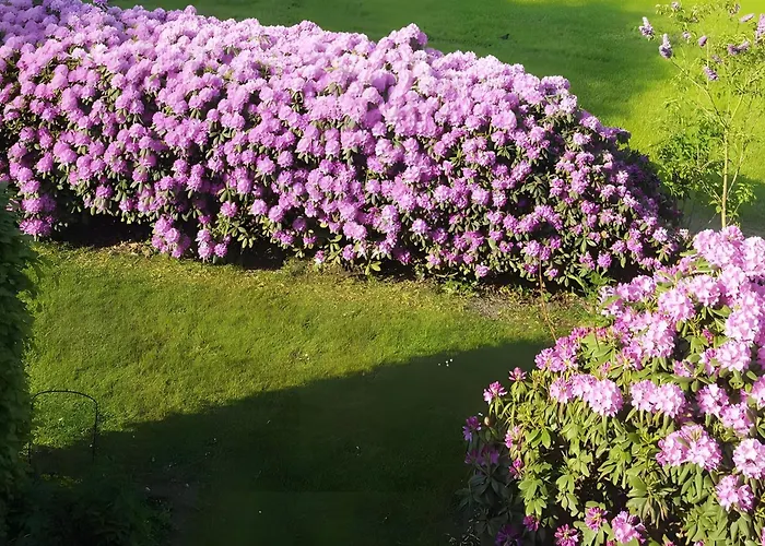 アパート Warnken Zetel