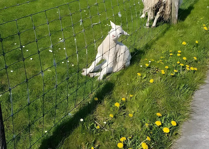 Warnken アパート *