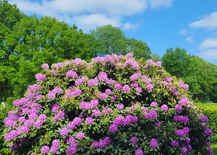 Warnken アパート Zetel